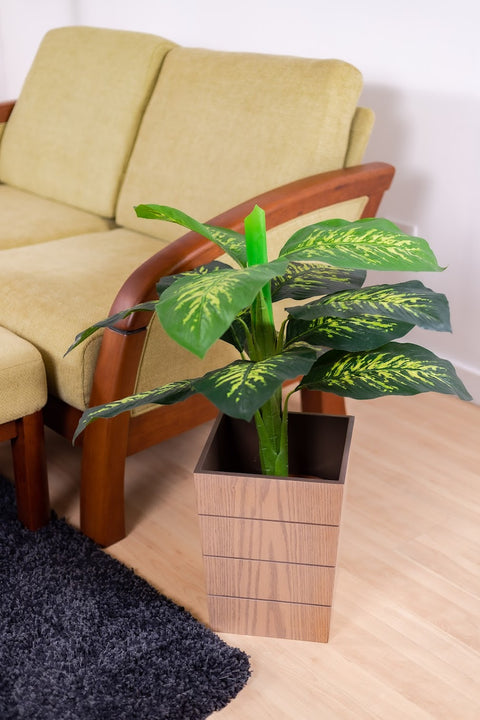 Modern Wooden Planter