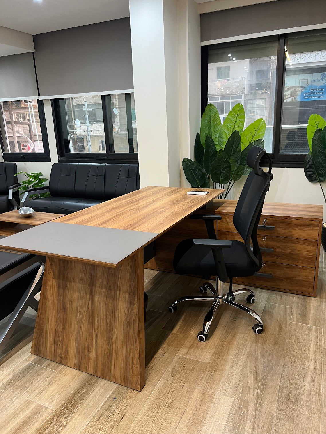 Modern Executive Office