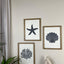 Beachside Trio - Wooden Wall Art