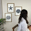 Beachside Trio - Wooden Wall Art