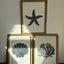 Beachside Trio - Wooden Wall Art