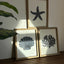 Beachside Trio - Wooden Wall Art