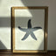 Beachside Trio - Wooden Wall Art