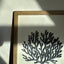 Beachside Trio - Wooden Wall Art