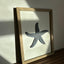 Beachside Trio - Wooden Wall Art