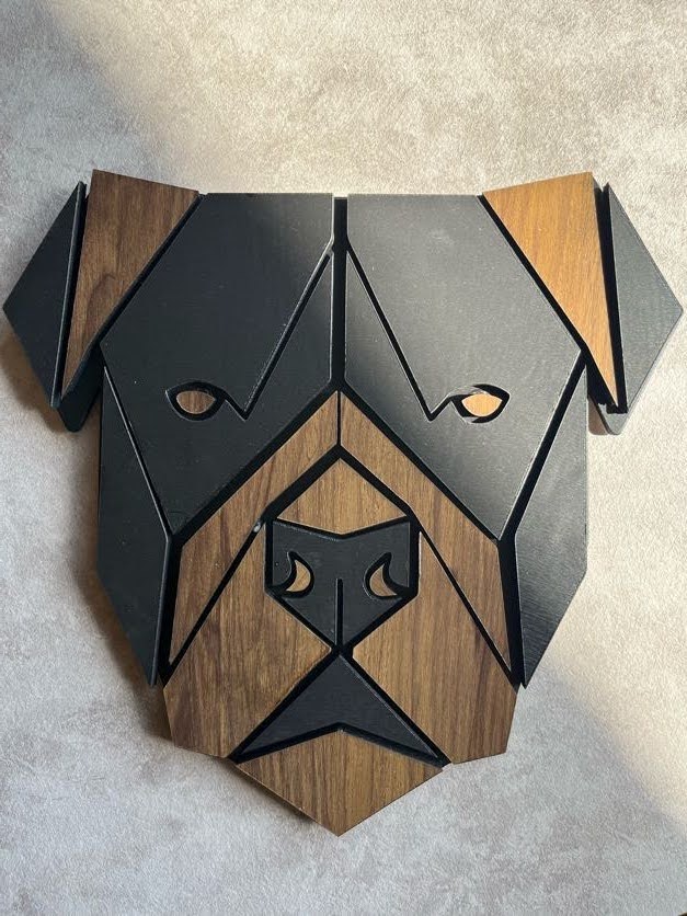 Rottweiler Dog Face Wall Art