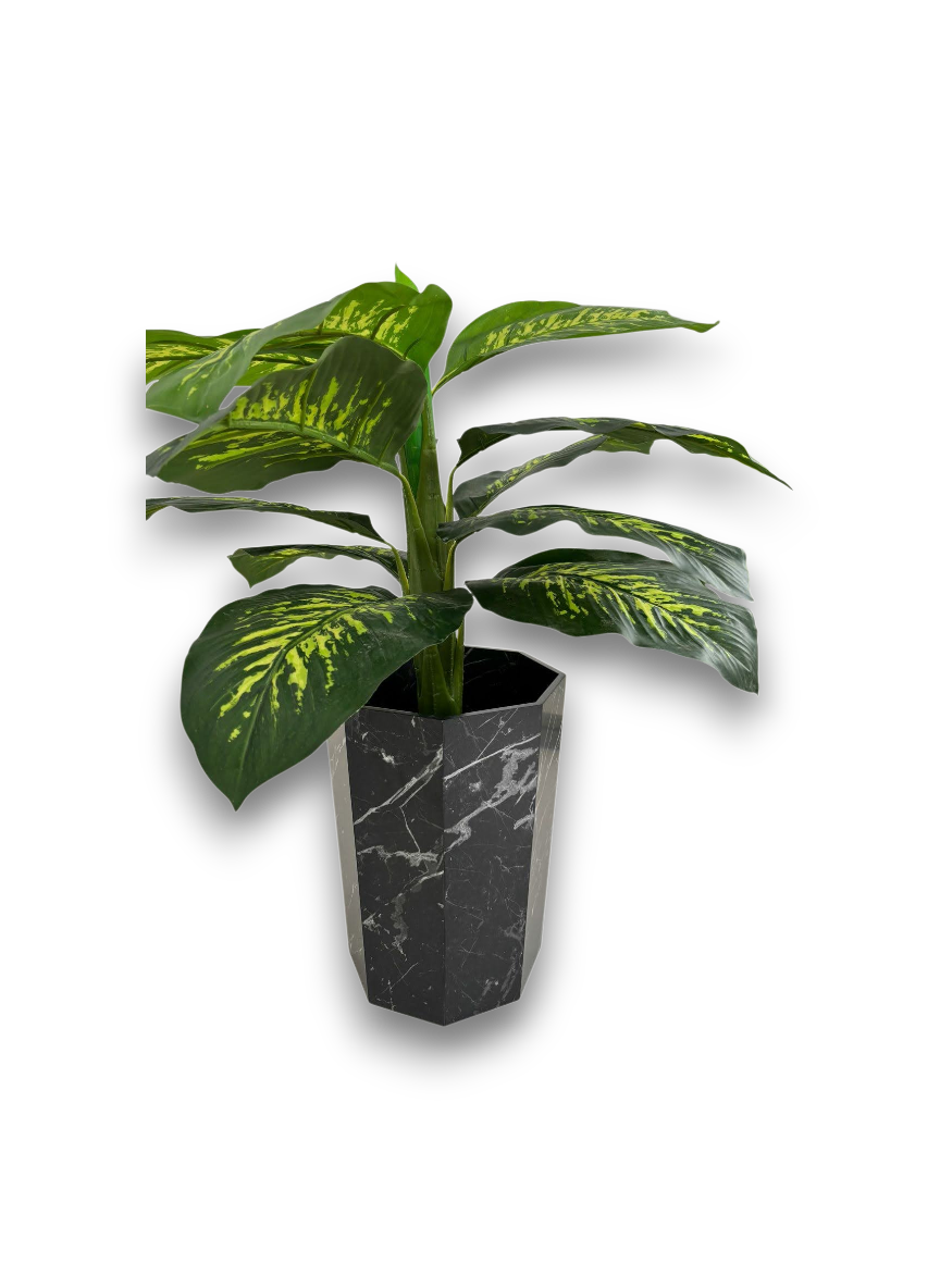 Tissue Boxes & Trash bins