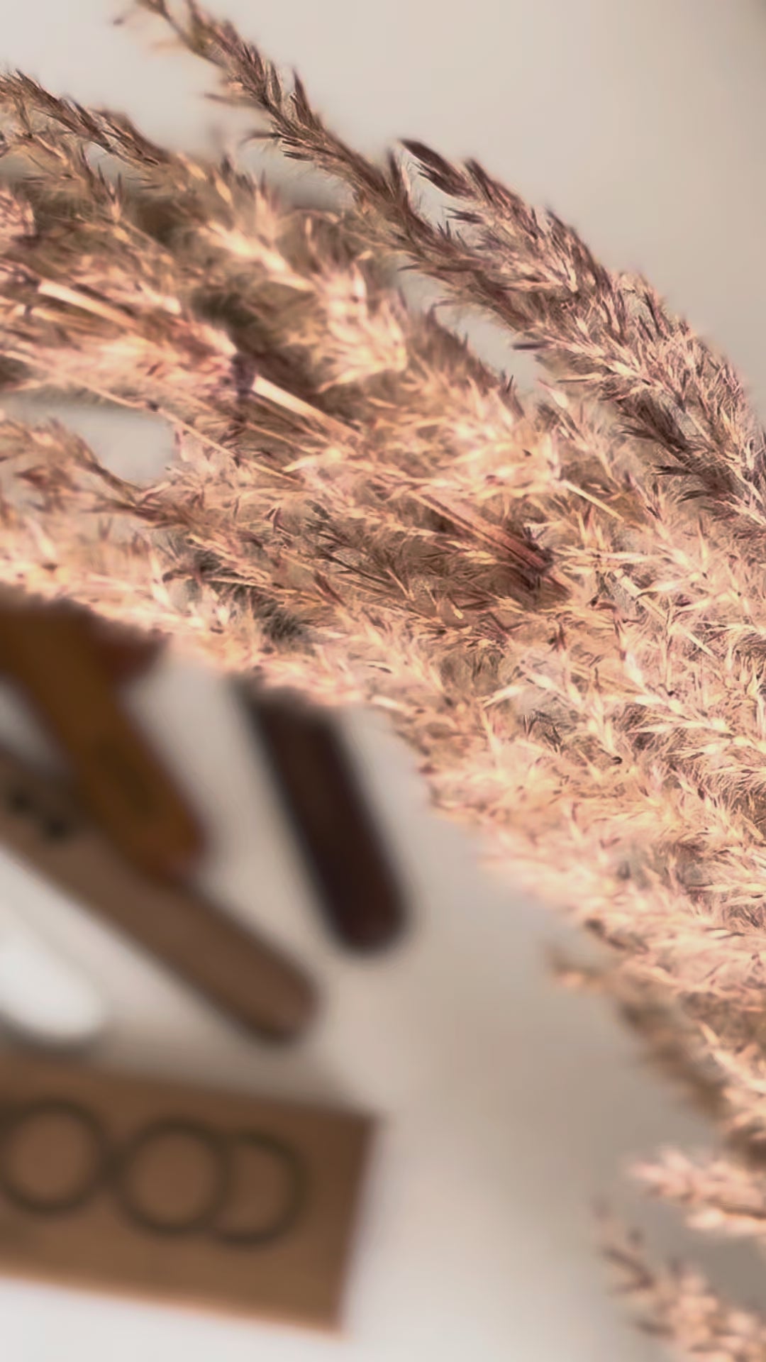 iQOS Iluma & Iluma I Curved Personalized Wooden Door